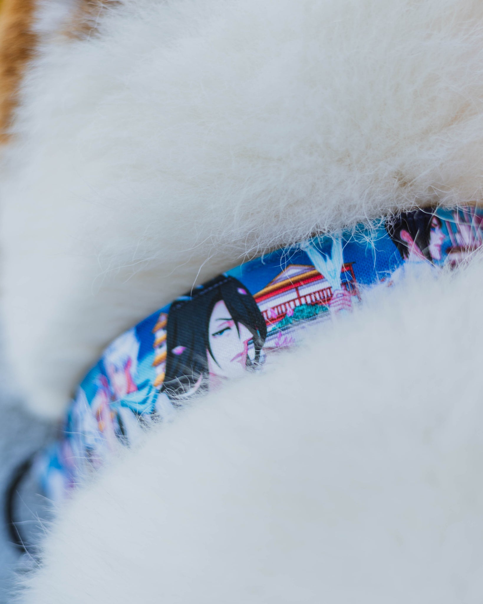 Shinigami Dog Collar