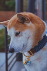 Handmade Dog Collar with Personalized Name Shiba Inu