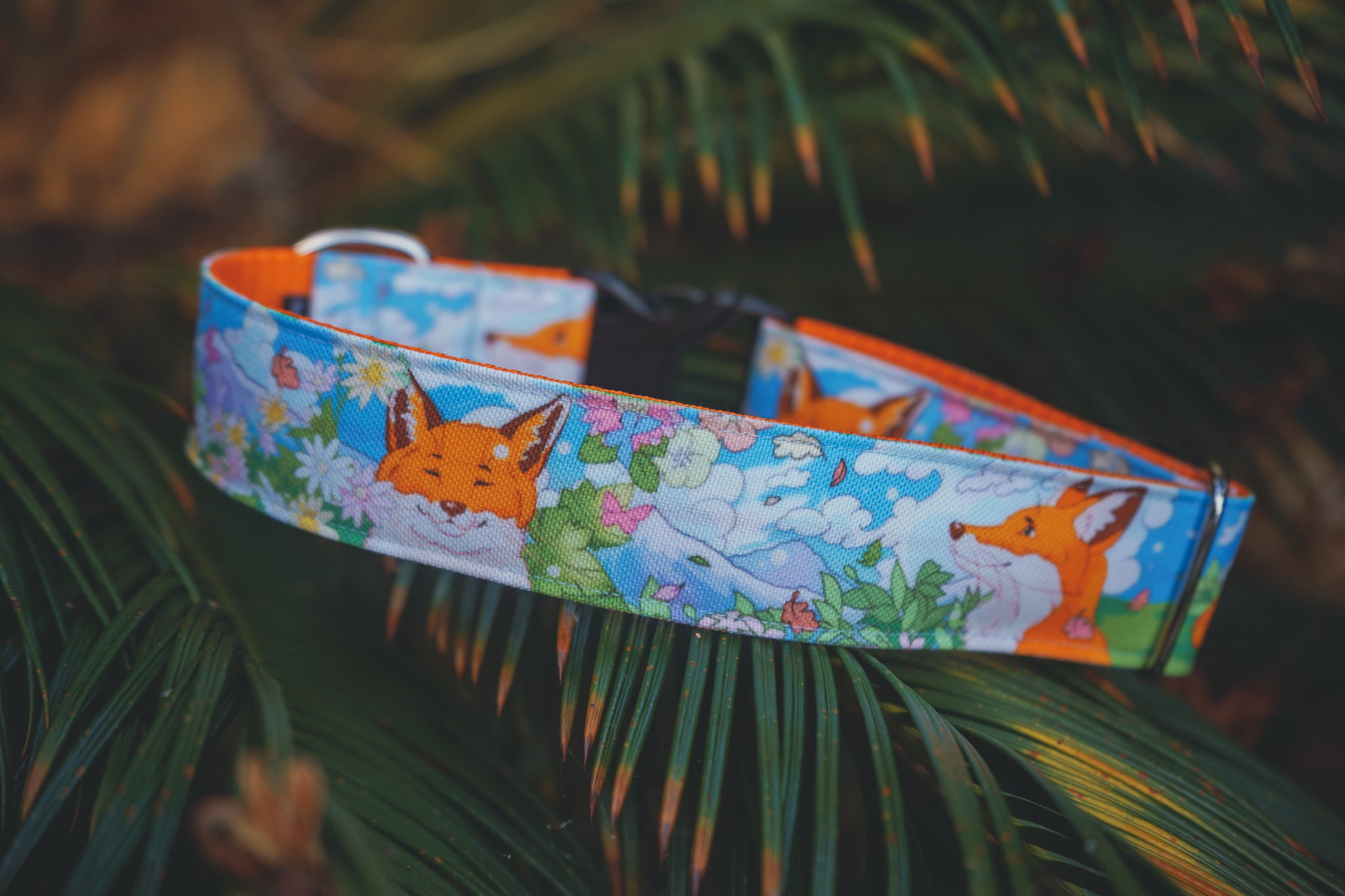 Spring Fox Dog Collar