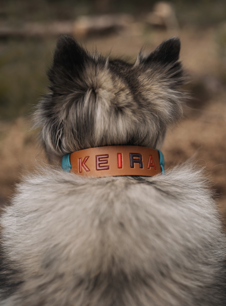 Handmade Dog Collar with Personalized Name 2