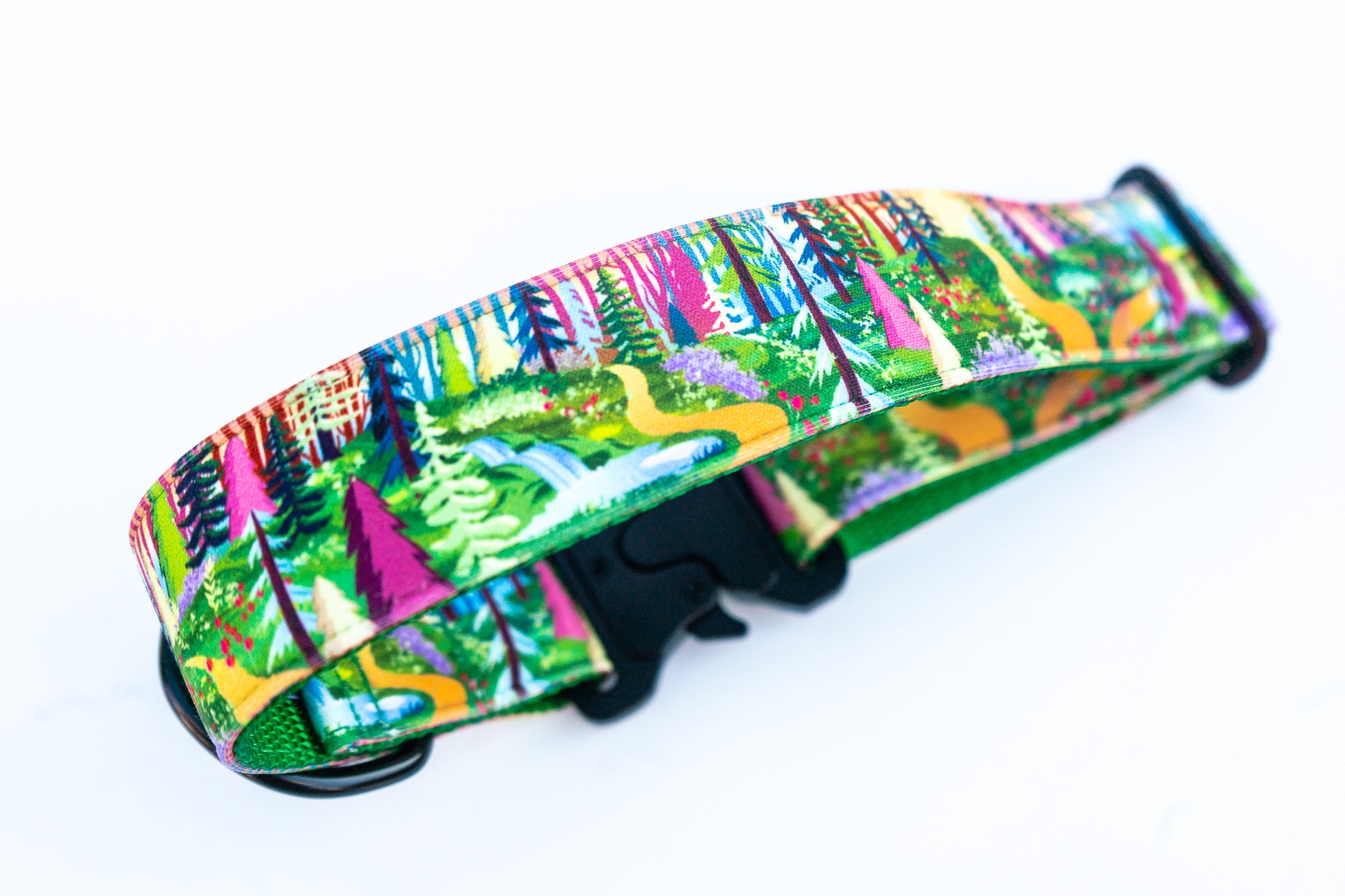 Spring Trails Water Repellent Dog Collar